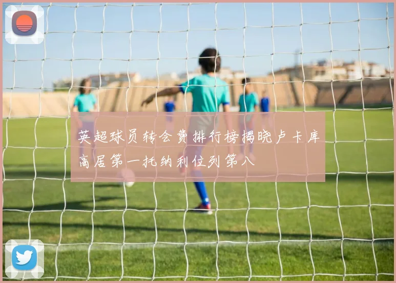英超球员转会费排行榜揭晓卢卡库高居第一托纳利位列第八