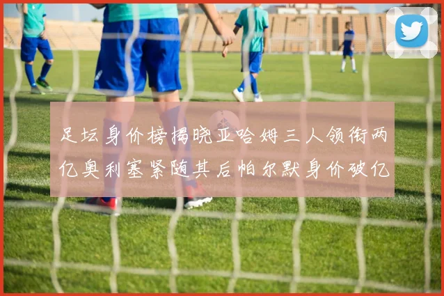 足坛身价榜揭晓亚哈姆三人领衔两亿奥利塞紧随其后帕尔默身价破亿